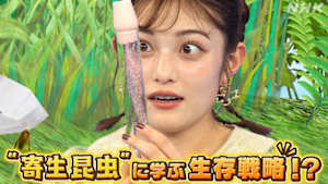 サイエンスＺＥＲＯ　“寄生昆虫”に学ぶ生存戦略！？