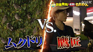 有吉のお金発見　突撃！カネオくん　人々を助け支える「働く動物」のヒミツ