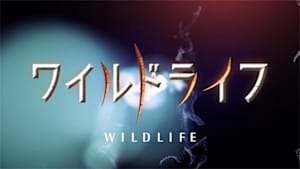 ワイルドライフ