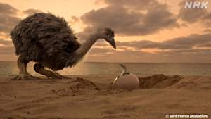 地球ドラマチック　太古の巨大鳥の秘密