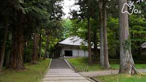 究極ガイド　２時間でまわる☆☆☆　２時間でまわる平泉