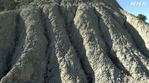 美の壺　大地の恵み　土