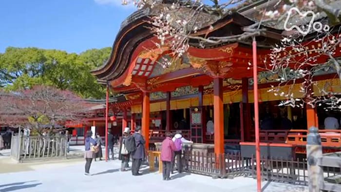 千年の祈り　太宰府天満宮　四季の彩り 千年の祈り　太宰府天満宮　四季の彩り
