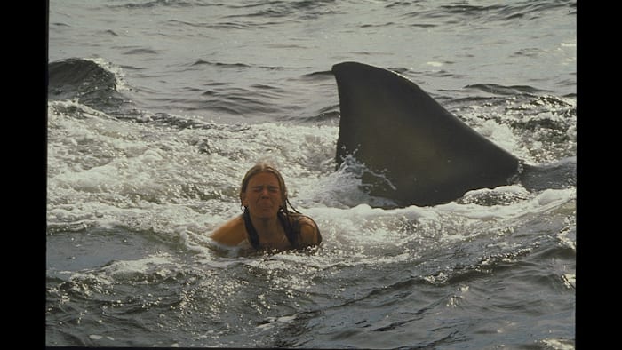 JAWS／ジョーズ2
