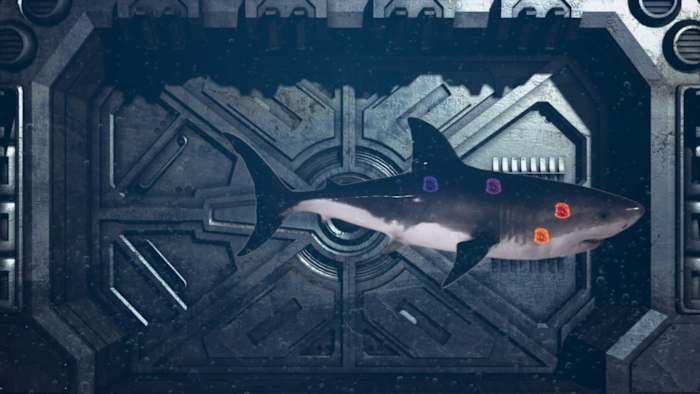 みそきんブームの波に乗るサメ The Great White Shark almost broke my cage and it's