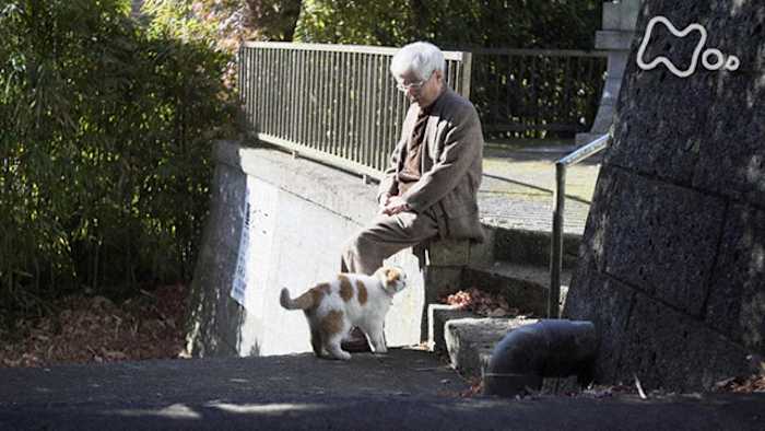 Magazine 猫も杓子もまたたびも 第一号 猫も杓子も―語 Magazine