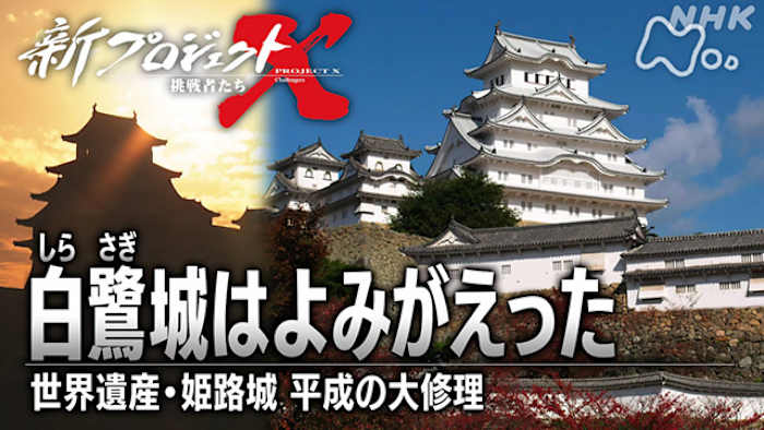 超激安 J:COM STREAM 視聴サイト 絵画