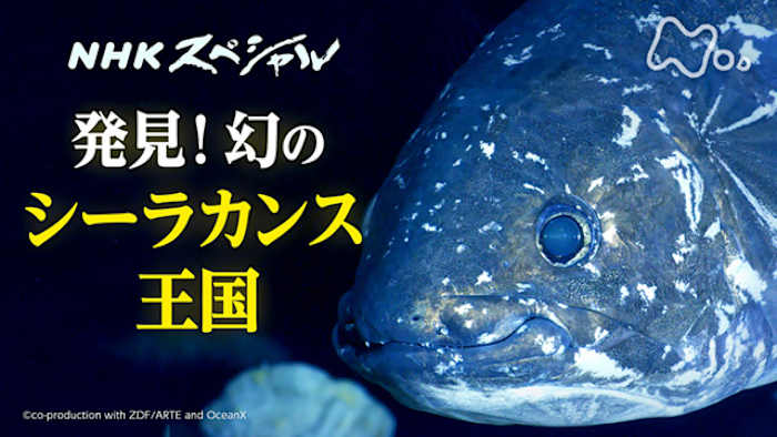 中古】NHKスペシャル ディープ オーシャン 南極 深海に巨大生物を見た  