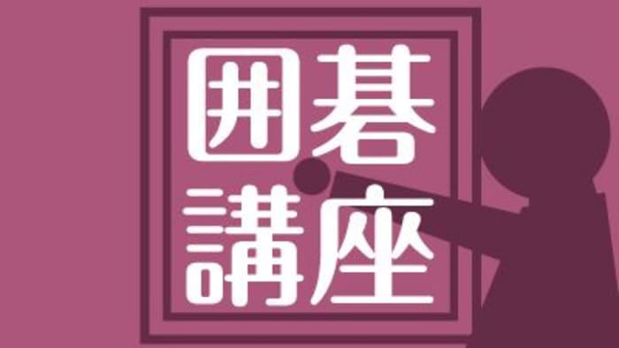 日本囲碁連盟　泉谷英雄　攻めの手筋 囲碁DVD 攻めの手筋 5本／2～6巻 泉谷英雄 日本囲碁連盟 - メルカリ