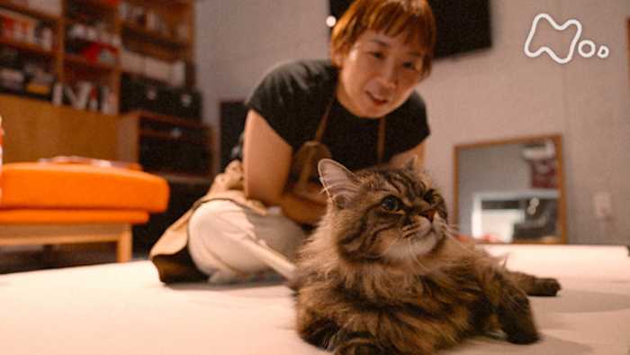 J:COM STREAM 視聴サイト