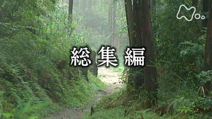 NHKスペシャル 街道をゆく 1-7 & 新シリーズ1-12 Amazon.co.jp: NHKスペシャル 街道をゆく 1 プロローグ 時空の