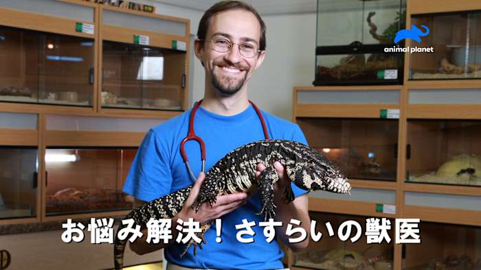 J:COM STREAM 視聴サイト