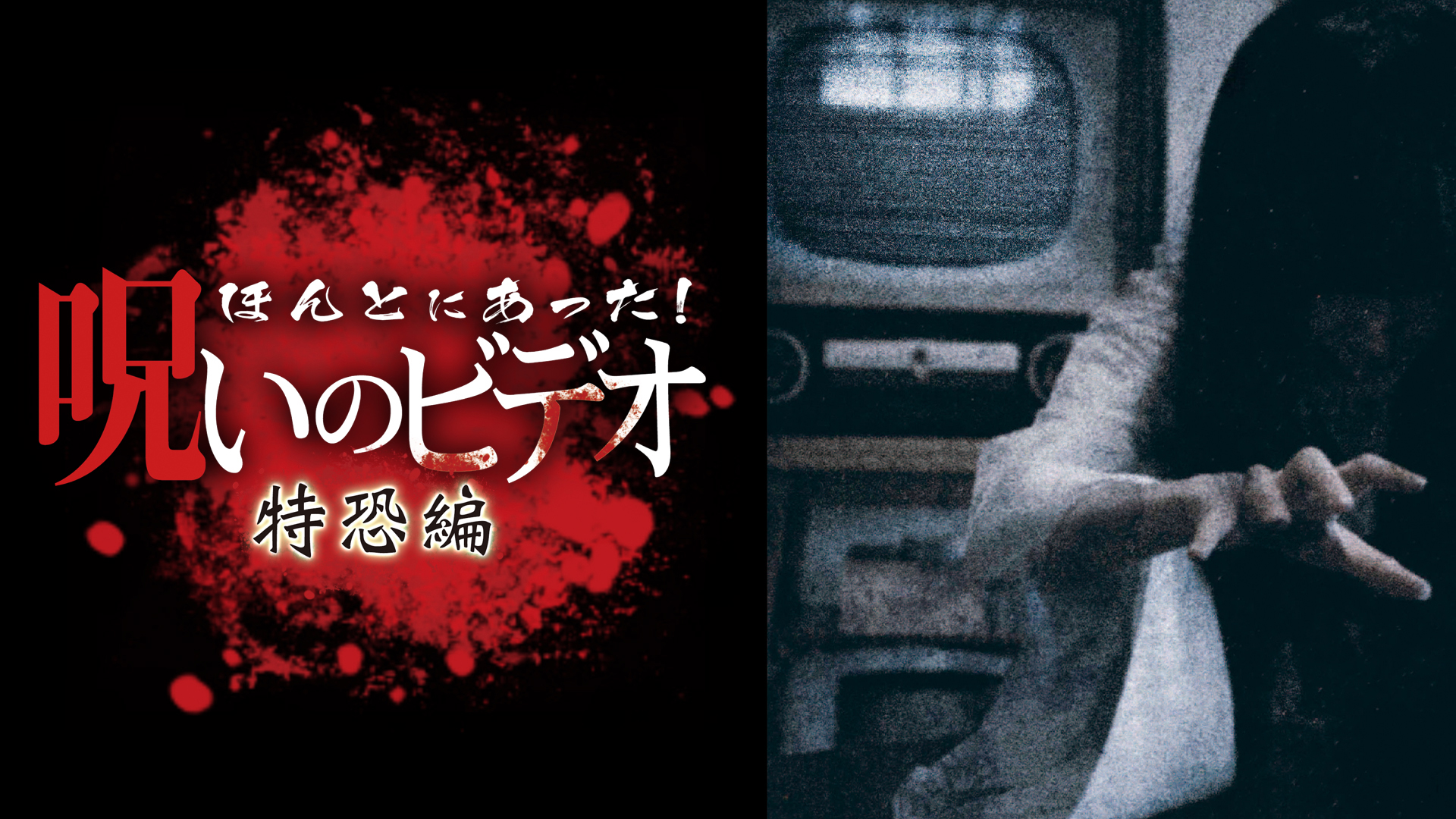 Seishiro Akidomi | ALI『LOST IN PARADISE feat AKLO