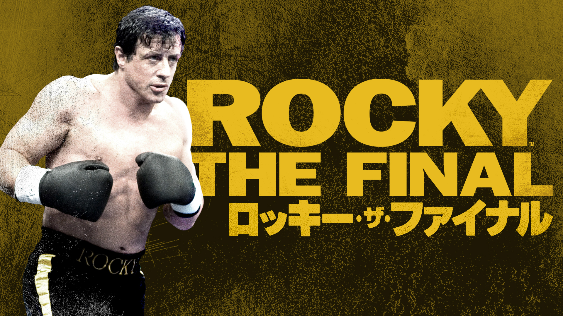 J:COM STREAM 視聴サイト