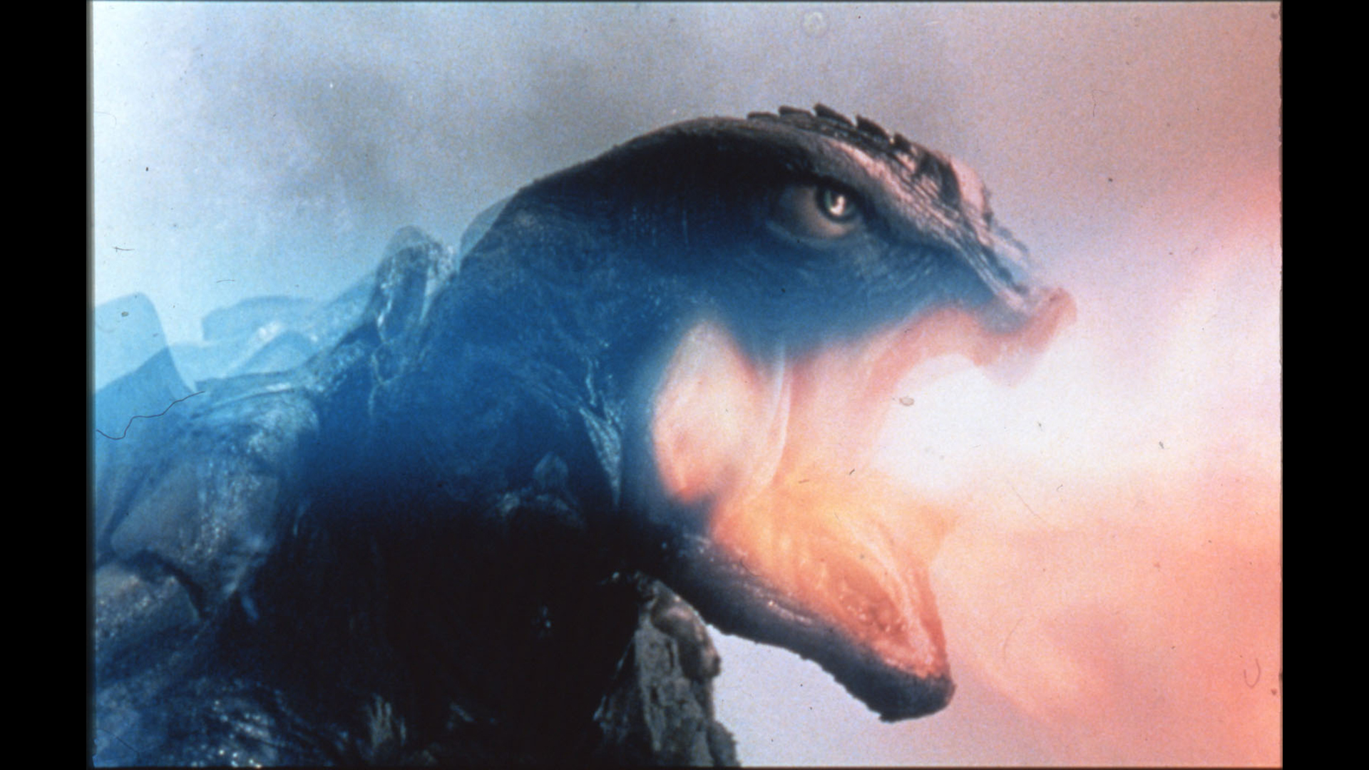 J:COM STREAM 視聴サイト