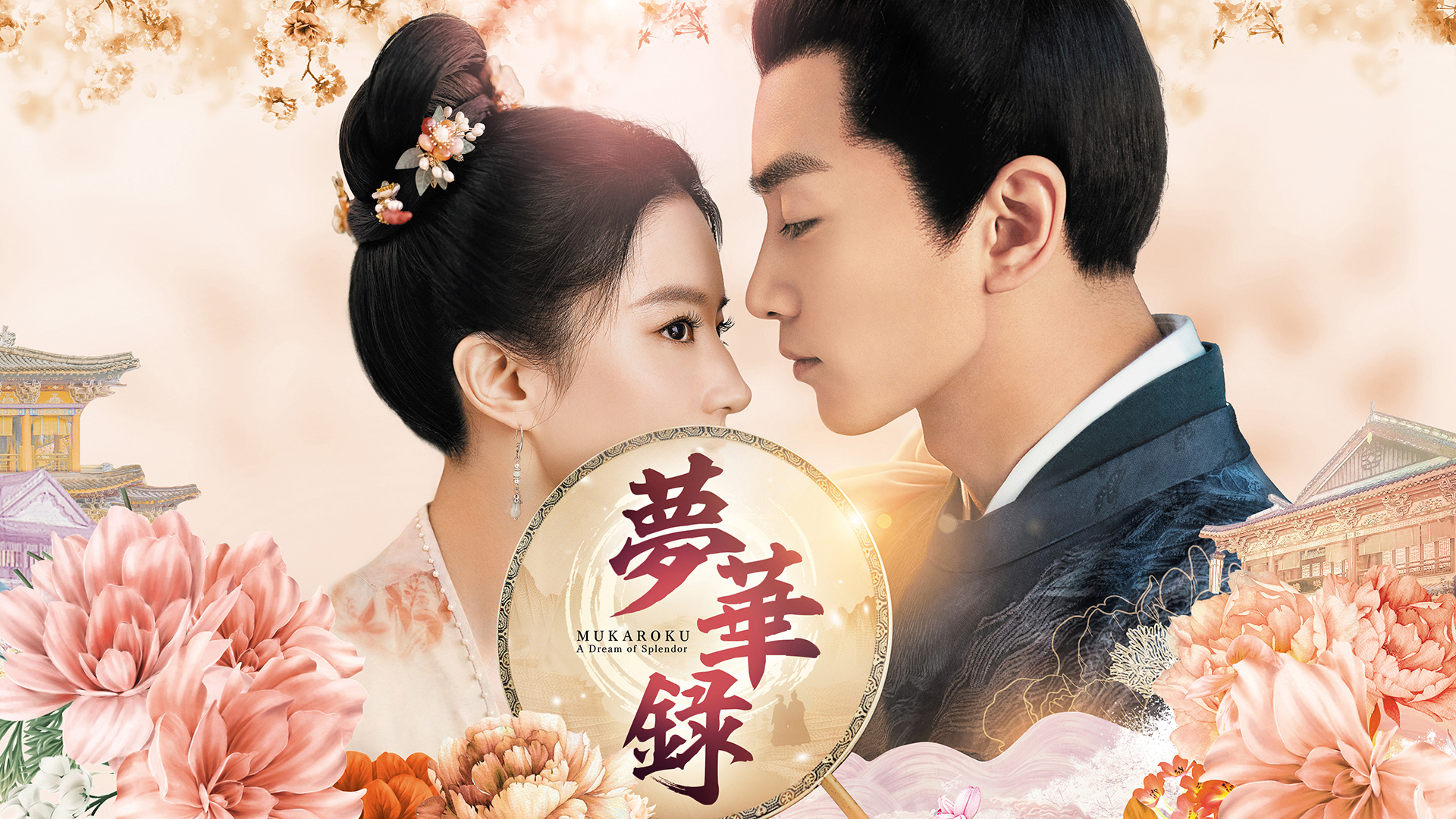 夢華録 1-24 全24巻　全巻セット　DVD　最終話46話まで 夢華録 1-24 全24巻 全巻セット DVD 最終話46話まで（第24話 “帽