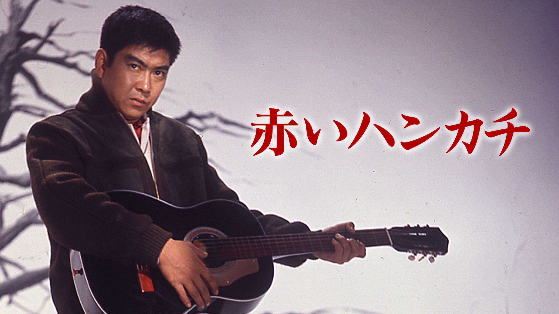 J:COM STREAM 視聴サイト