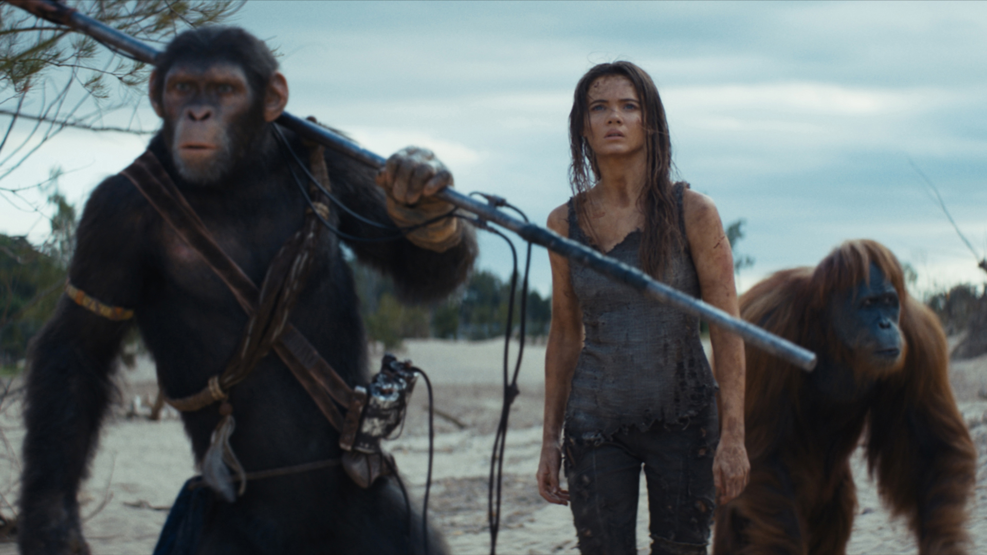 猿の惑星　PLANET OF THE APES　JAP工房　シリーズコンプ 楽天市場】【猿の惑星】PERICLES ぺリクリーズ JAP工房 純正
