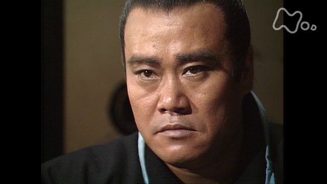 NHK大河ドラマ　おんな太閤記　全１３巻　＋　翔ぶが如く　全１３巻　西田敏行 51qi-qoBwmL._AC_UL210_SR210,