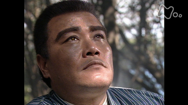 大河ドラマ　総集編　翔ぶが如く NHK大河ドラマ総集編 翔ぶが如く [DVD]: Amazon.de: DVD & Blu-ray
