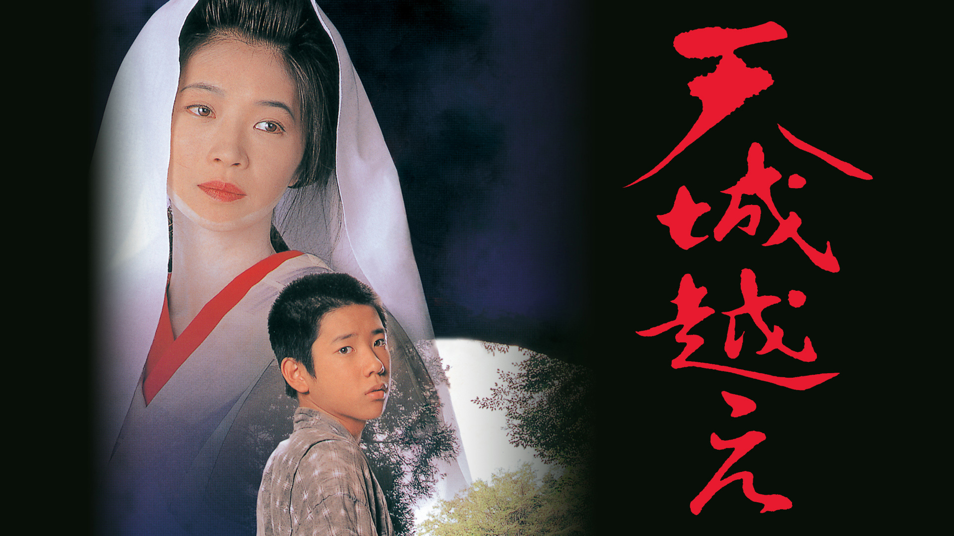 新品　未開封　天城越え　田中美佐子主演　二宮和也出演　松本清張原作 天城越え 田中美佐子主演 二宮和也出演 松本清張原作の通販 by