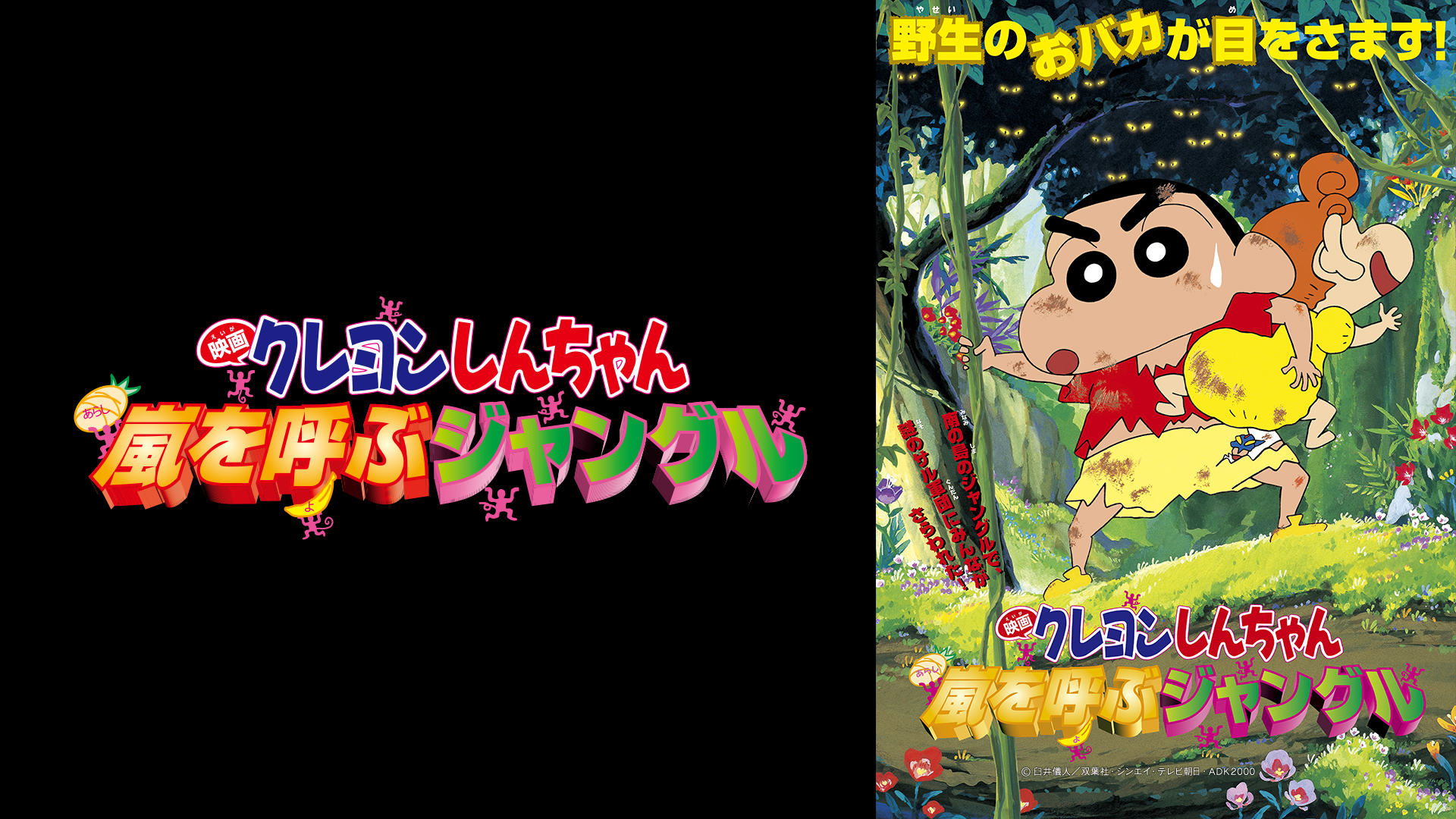 クレヨンしんちゃん　せんこう　こうこう　31種コンプリート　先攻　後攻 J:COM STREAM 視聴サイト