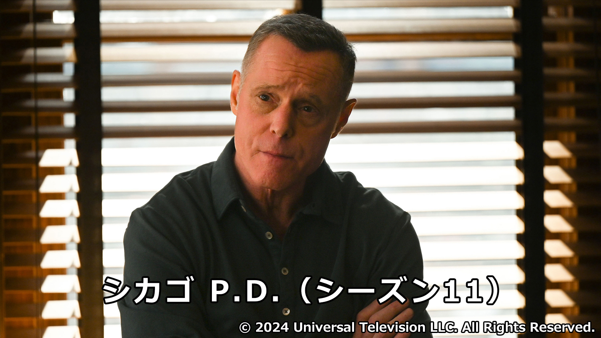ドラゴン社 inspecteur de police ヒューバート警部 ドラゴン社 inspecteur de police ヒューバート警部 ドラゴン社