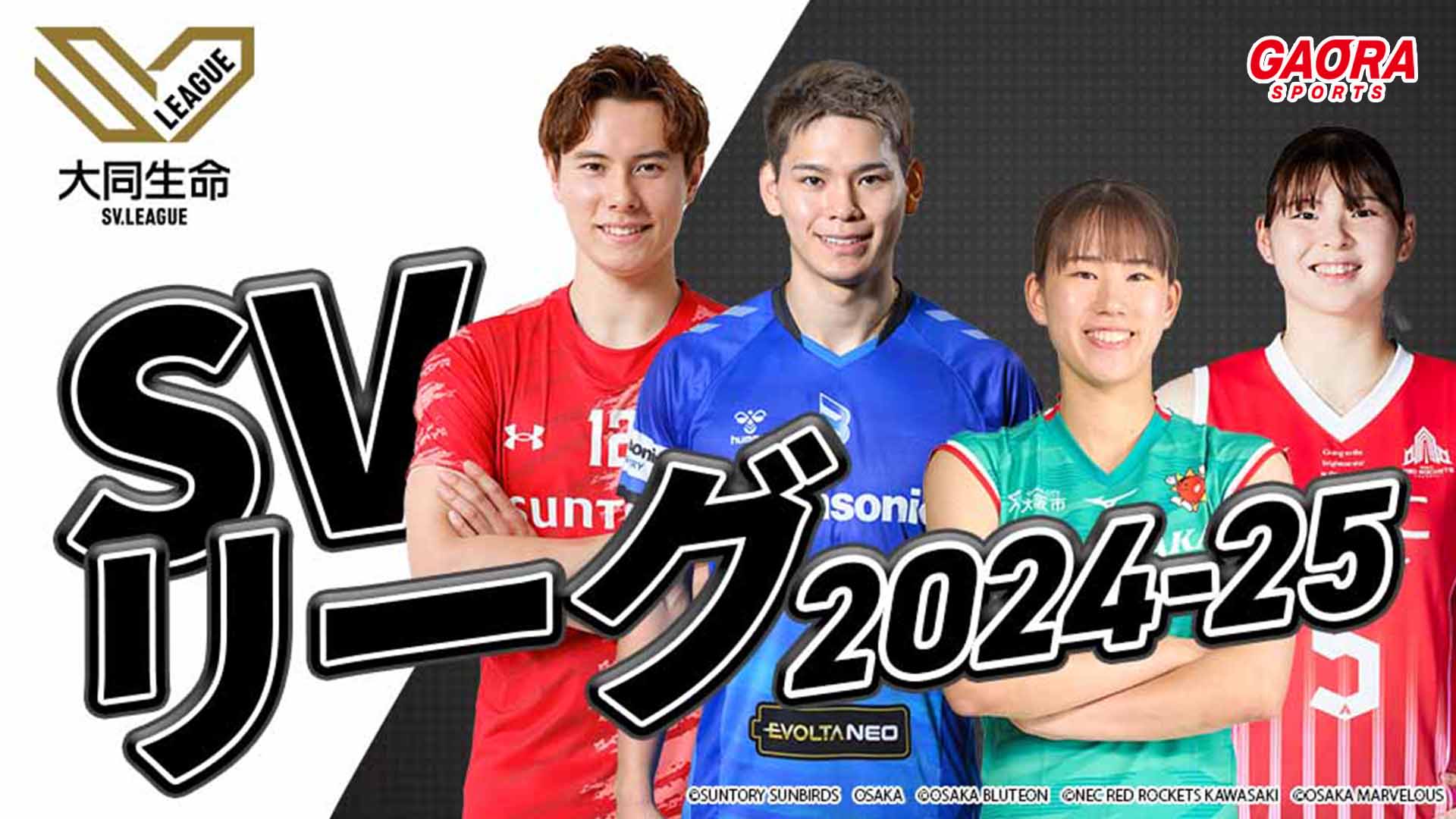 [バレーボール]SVリーグ 2024-25「～男子～大阪Ｂ vs 日鉄堺BZ（3.15パナソニックアリーナ）」