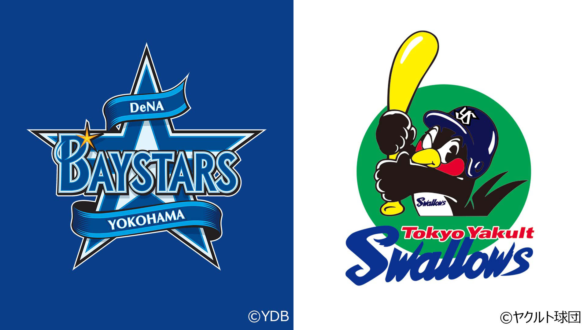 プロ野球 2025 DeNA×ヤクルト(9/30)