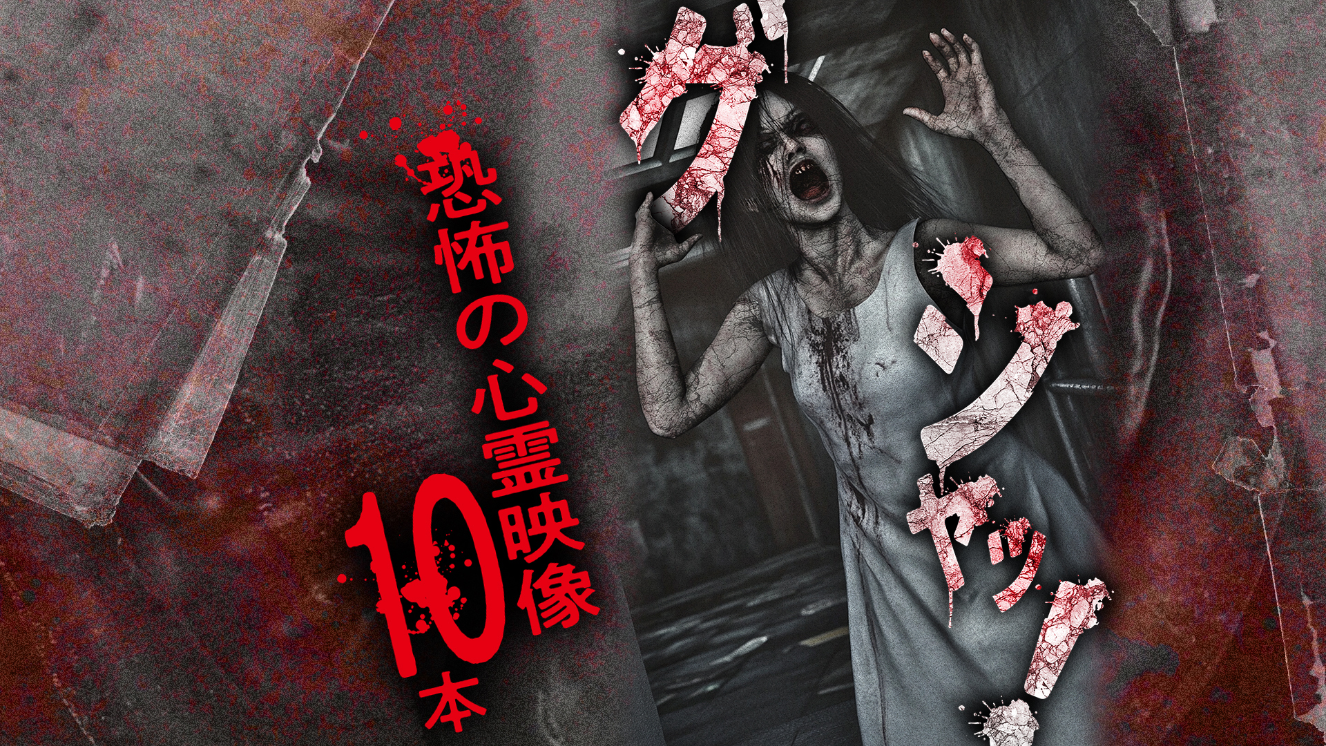 a2bb9464b231abc03aa6bc653d80f4