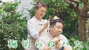 梅切らぬバカ