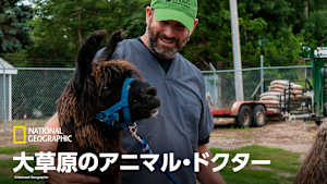 大草原のアニマル・ドクター
