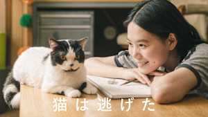 猫は逃げた