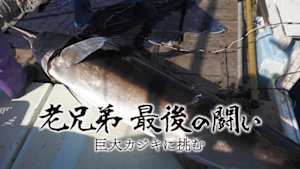 老兄弟　最後の闘い　巨大カジキに挑む