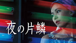 夜の片鱗