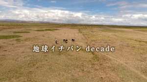 地球イチバン　ｄｅｃａｄｅ