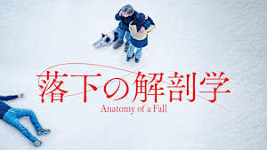 落下の解剖学