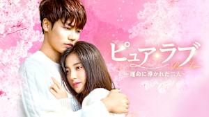 ピュア・ラブ ～運命に導かれた二人～