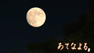 あてなよる