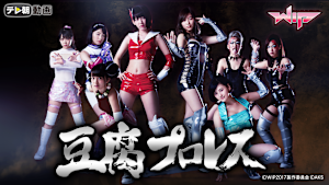 豆腐プロレス