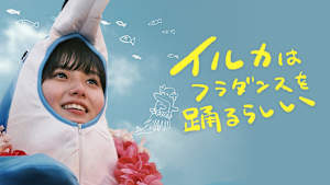 イルカはフラダンスを踊るらしい