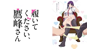 履いてください、鷹峰さん