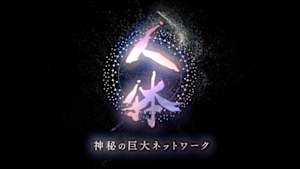 ＮＨＫスペシャル　シリーズ　人体　神秘の巨大ネットワーク