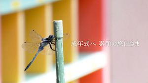 成年式へ　素顔の悠仁さま