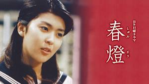 春燈