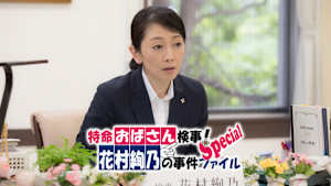 特命おばさん検事！ 花村絢乃の事件ファイル スペシャル
