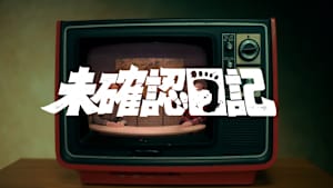 未確認日記