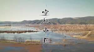 空旅中国