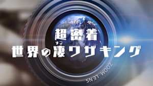 超密着！世界の凄（すご）ワザキング