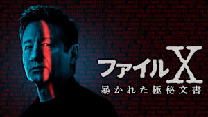 ファイルX：暴かれた極秘文書